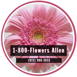 1-800 Flowers Allen